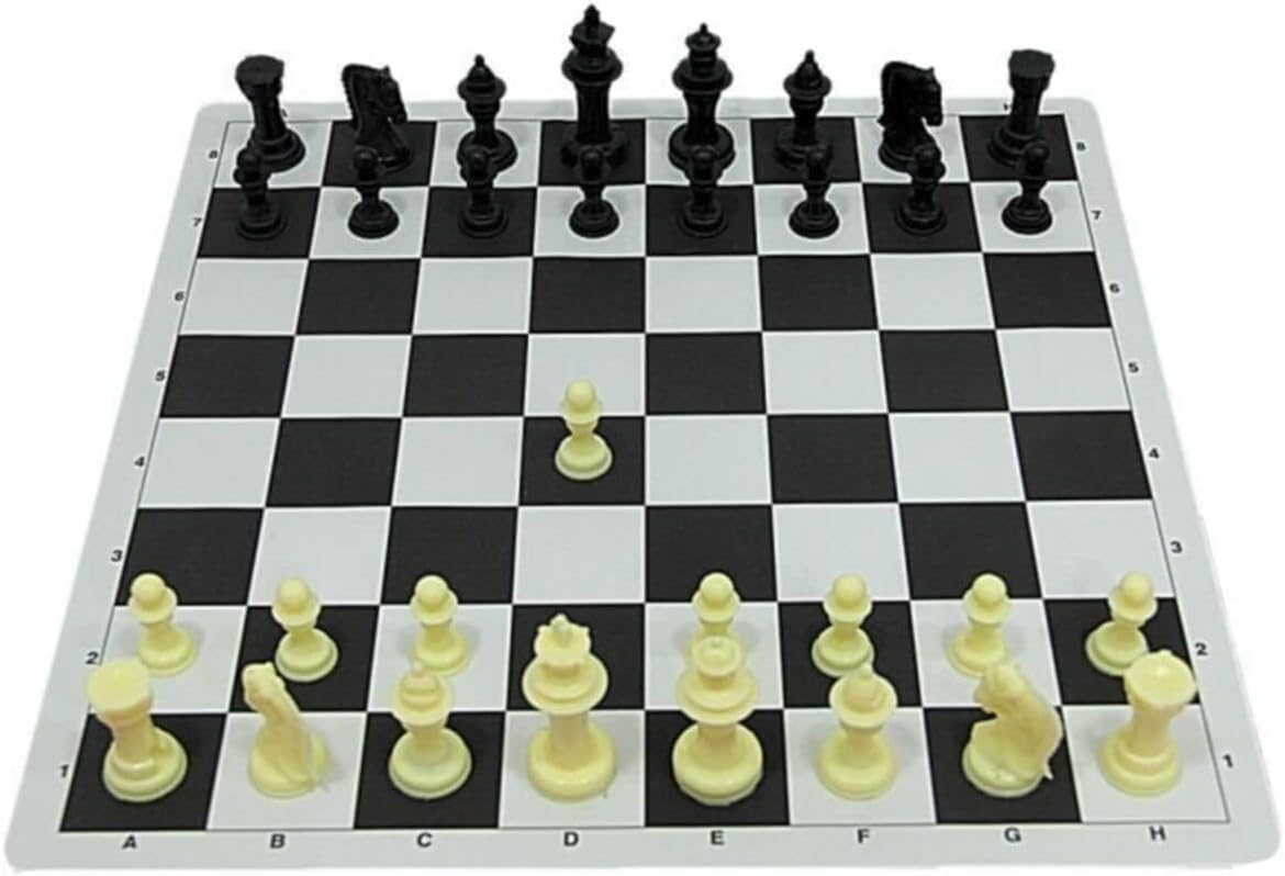 Portable Chess Set