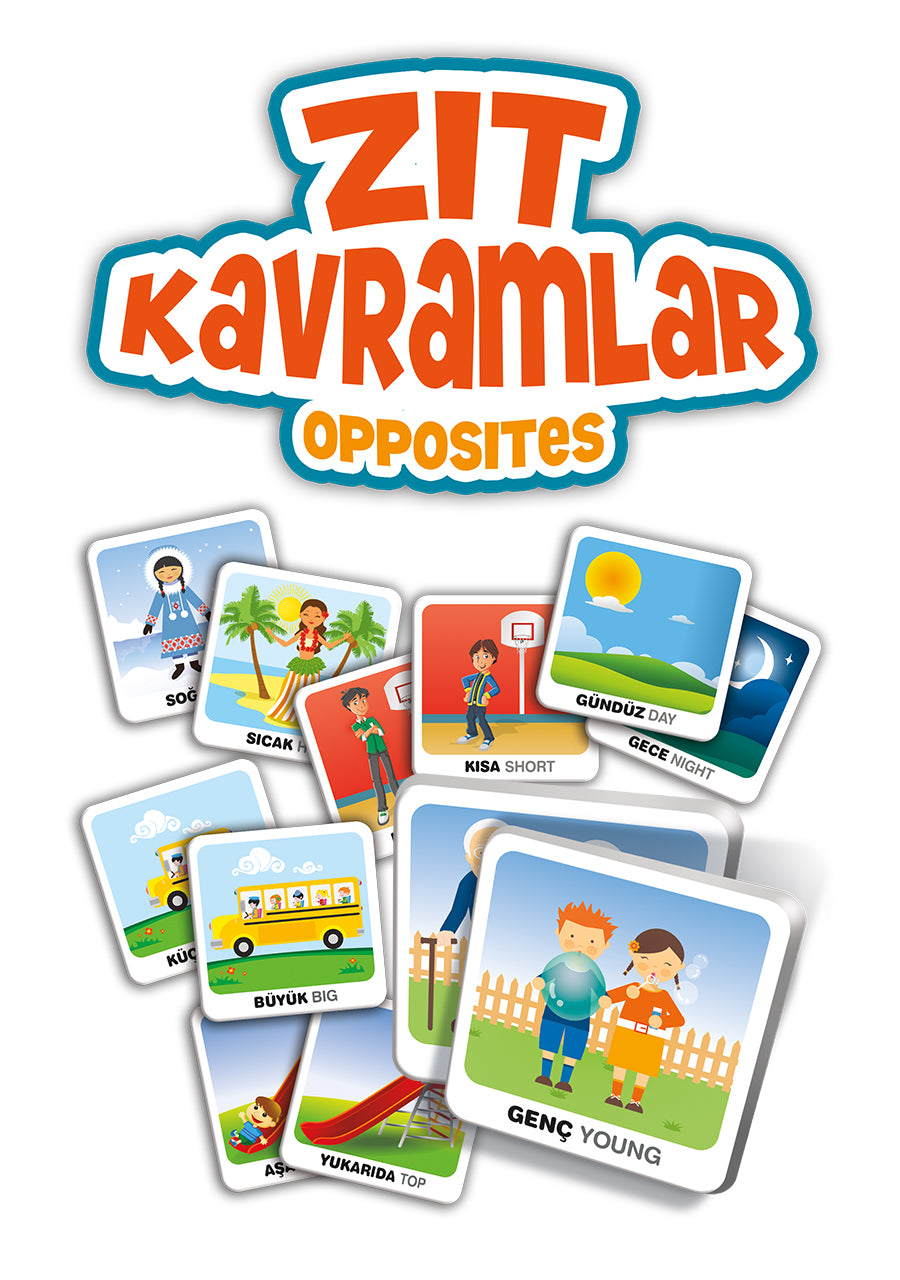 The Opposites Game by KS Games